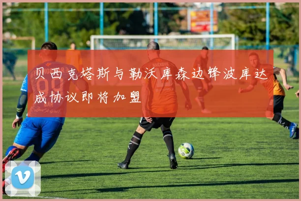 贝西克塔斯与勒沃库森边锋波库达成协议即将加盟