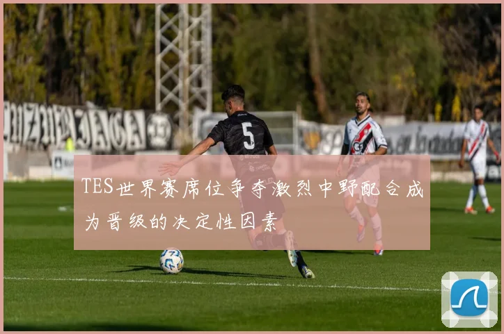 TES世界赛席位争夺激烈中野配合成为晋级的决定性因素